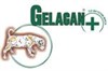 Гелакан
