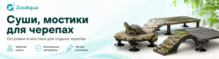 Суши, мостики для черепах