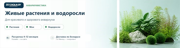 Живые растения, водоросли
