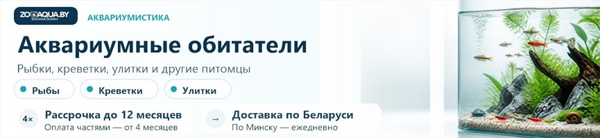 Аквариумные обитатели
