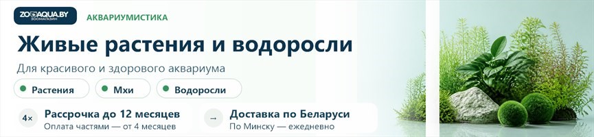 Живые растения, водоросли