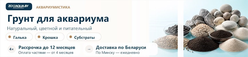 Грунт