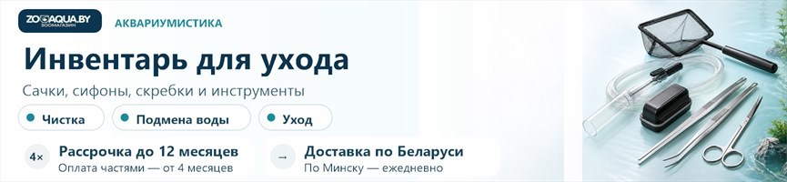Инвентарь для ухода