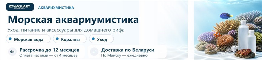 Морская аквариумистика