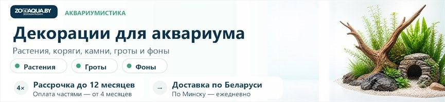 Декорации