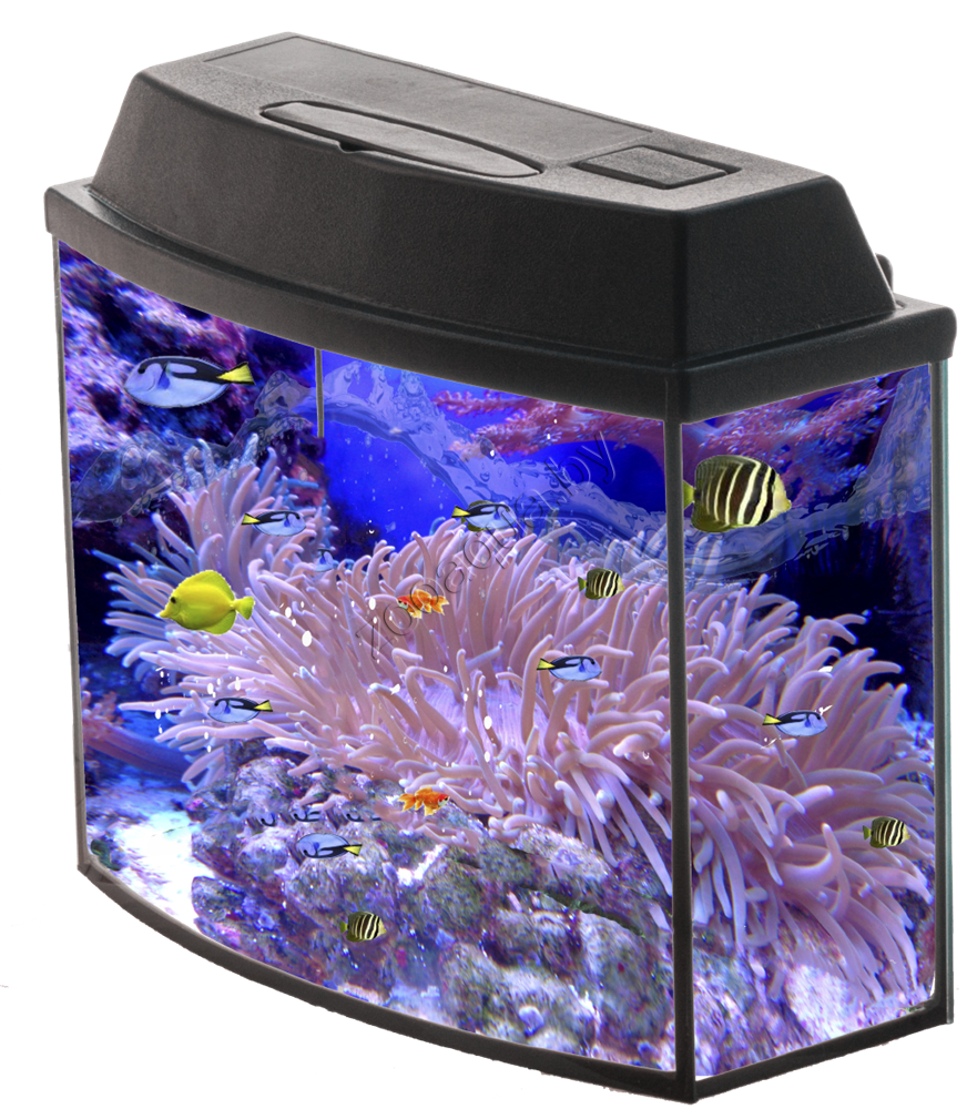 морской аквариум 30 литров