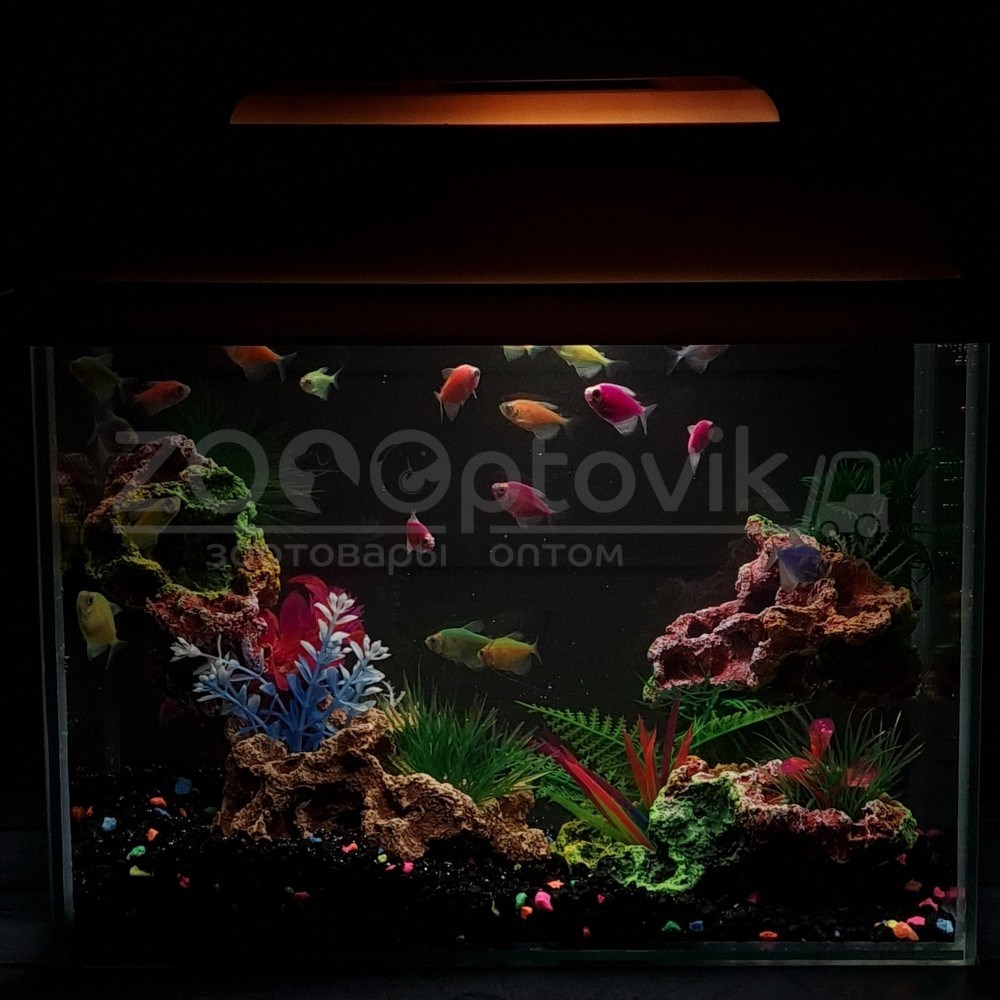 Аквариум Aqua Glo прямоугольник на 10л. день/ночь с рыбками тернеция  GloFish 11379 купить в Минске