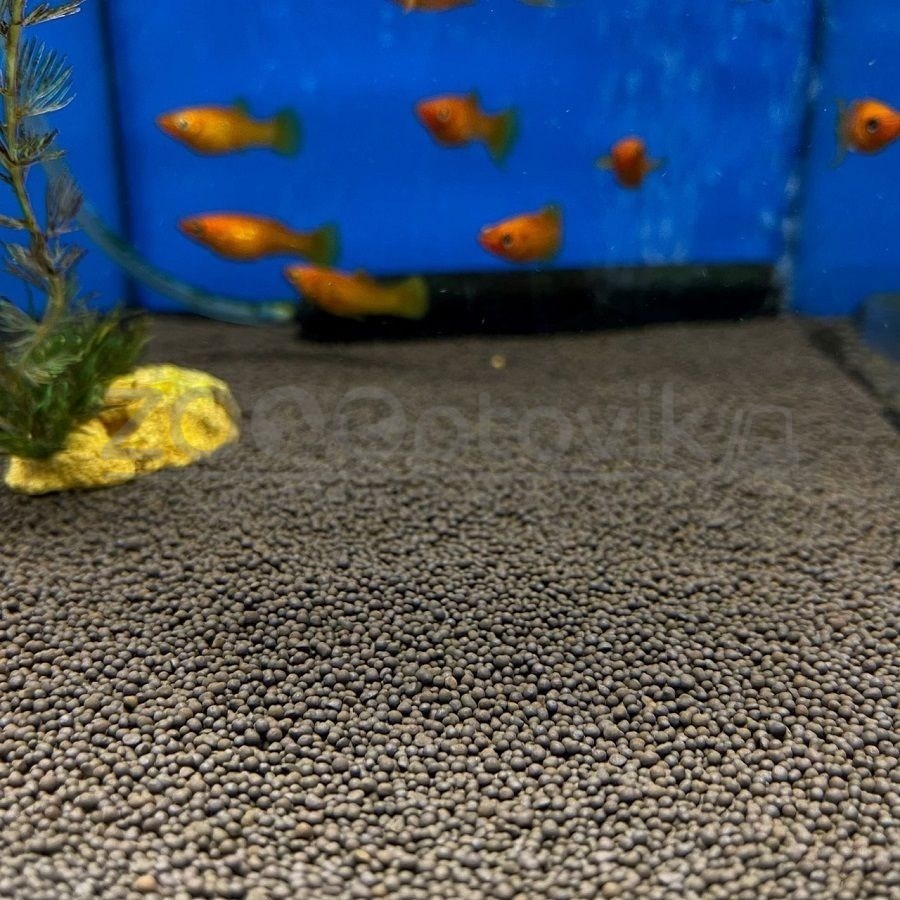 Почему чернеет аквариум: грунт, стекла и декорации | Блог зоомагазина вороковский.рф