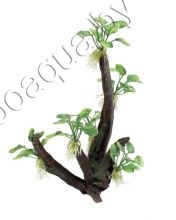 ArtUniq Toll Branched Driftwood With Anubias nana M - Декоративная композиция из пластика "Высокая ветвистая коряга с анубиасом нана", 19x13,5x32 см - фото 20352