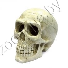 ArtUniq Large Skull - Декоративная композиция "Большой череп" 20x12,7x15,8 см - фото 20353