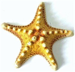 Звезда малая (оранж) К-01 - фото 22402