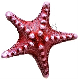 Звезда малая (красный) К-01к - фото 22404