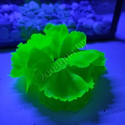 Коралл силиконовый зеленый 14х11х9см (SH205SG) - фото 25453