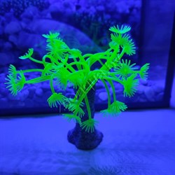 Коралл силиконовый зеленый 3.5х3.5х14см (SH139G) - фото 25455