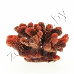 Коралл пластиковый (мягкий) красный 24x21x13,5см - фото 26839