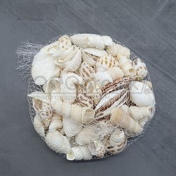 Shell 002 Набор морских раковин в сеточке 200 гр ФРУКТЫ МОРЯ МИКС - фото 28754