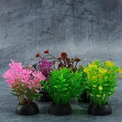 Набор разноцветных растений Laguna 50 мм, 6 шт - фото 30175