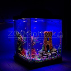 Аквариум Куб Aqua Glo на 20л. день/ночь с рыбками данио GloFish - фото 30284