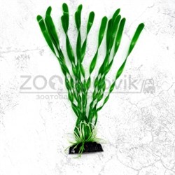 Пластиковое растение Plant 01430 Валиснерия спиральная 30см - фото 30361