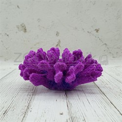 Коралл брокколи фиолетовый Кр-1532 - фото 32486