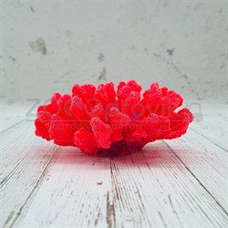 Коралл брокколи красный Кр-1525 - фото 32491