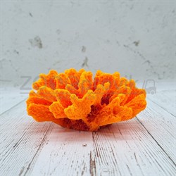 Коралл брокколи оранжевый Кр-1521 - фото 32501