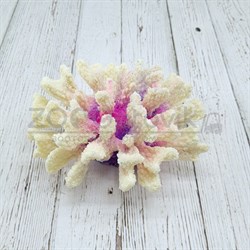 Коралл брокколи белый Кр-1520 - фото 32504