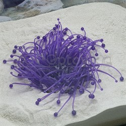 Декор из силикона Коралл фиолетовый мягкий (7.5x7.5x10) - фото 35259