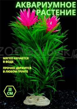 Растение для аквариума (30 см) Silver Berg №446 - фото 36609