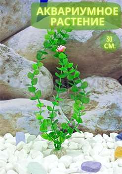Растение для аквариума (30 см) Silver Berg №335 - фото 36634