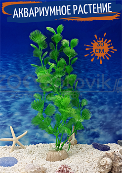 Растение для аквариума (30 см) Silver Berg №330 - фото 36639