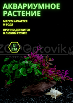 Растение с корягой для аквариума (17 см) Silver Berg №127 - фото 36659