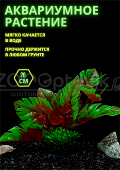 Растение для аквариума (20 см) Silver Berg №111 - фото 36683