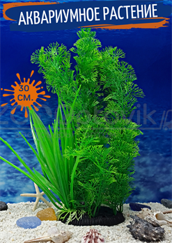 Растение для аквариума (30 см) Silver Berg №134 - фото 36688