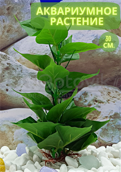 Растение для аквариума (30 см) Silver Berg №135 - фото 36698