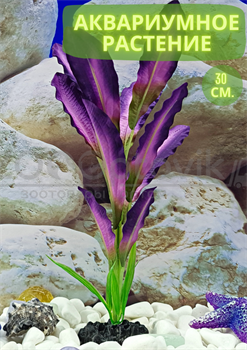 Шелковое растение для аквариума (30 см) Silver Berg №534 - фото 36713