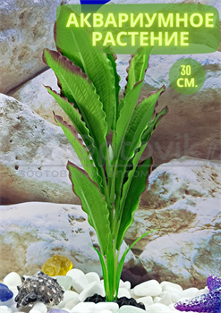 Шелковое растение для аквариума (30 см) Silver Berg №531 - фото 36718