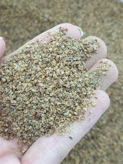 Дафния сухая (на развес) 17711 купить в Минске