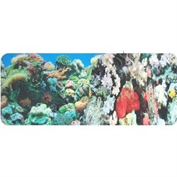 Фон двухсторонний Кораллы (синий) / Кораллы (синий) 60см х 1м - фото 38789