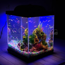 Аквариум Куб Aqua Glo на 30л. день/ночь с рыбками данио GloFish Reff - фото 45382