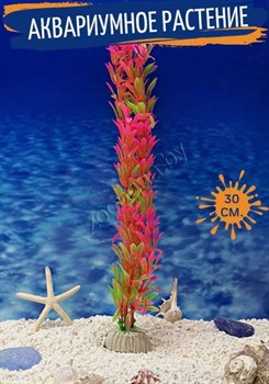 Купить Декоративное растение для аквариума ZooAqua 30 см