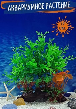 Купить Декоративное растение для аквариума в форме куста ZooAqua 20x17x6 см