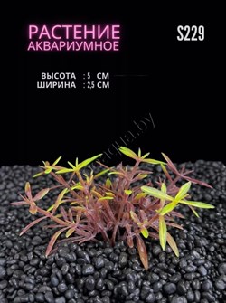 Купить Водоросли аквариумные искусственные ZooAqua S229 2.5x5 см