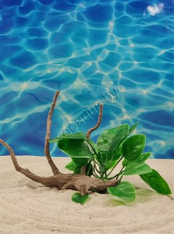 Декорация Анубиас на коряге для аквариума ZooAqua 24x17 см купить с доставкой