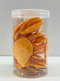 Купить Набор морских раковин в банке Shell012 800 мл/300-400 г