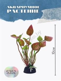 Купить Водоросли аквариумные искусственные ZooAqua S352 10 см
