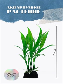 Купить Водоросли аквариумные искусственные ZooAqua S360 10 см