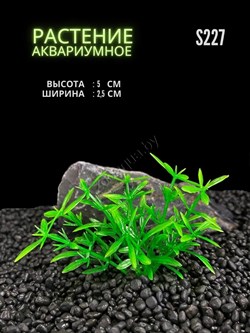 Купить Искусственное растение для аквариума ZooAqua S227, 2.5x5 см, керамика, пластик