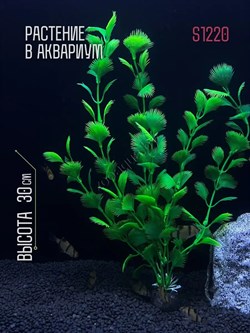 Купить Искусственное растение для аквариума ZooAqua S1220, 30 см, керамика, пластик