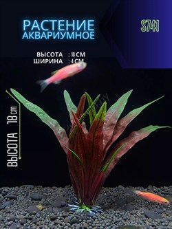 Купить Искусственное растение для аквариума ZooAqua S741, 18х4х3 см